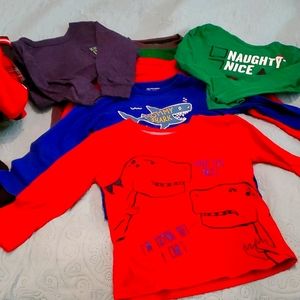 Toddler Long Sleeve Graphic Tees 3t